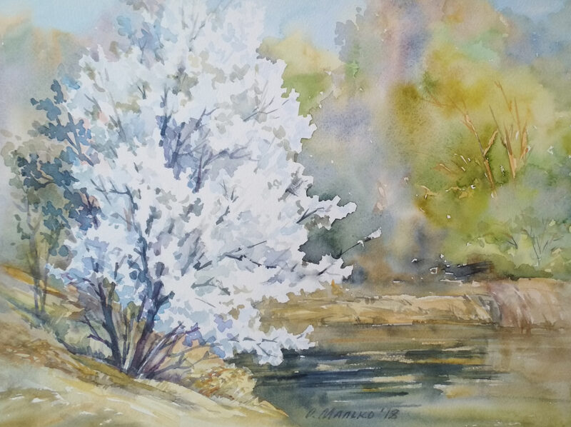 Blossom Tree