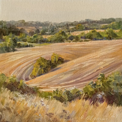 Field Patterns. After Harvest