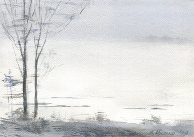 Roadside Fog