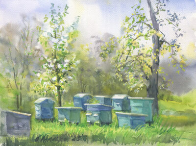 Spring at the Apiary